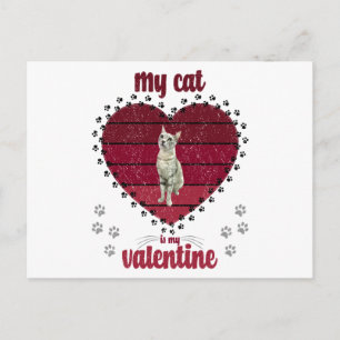 Min katt är min Valentine Vykort