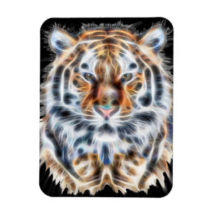 Min katt driver upp tigerfabriksenergi magnet