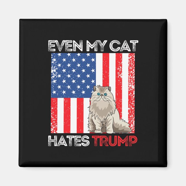 Min katt gör att jag trumpar mot trumpamerikanska  magnet (Framsidan)