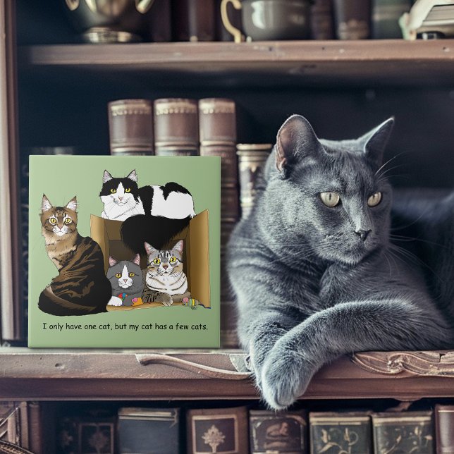 Min katt har katter kakelplatta (Skapare uppladdad)