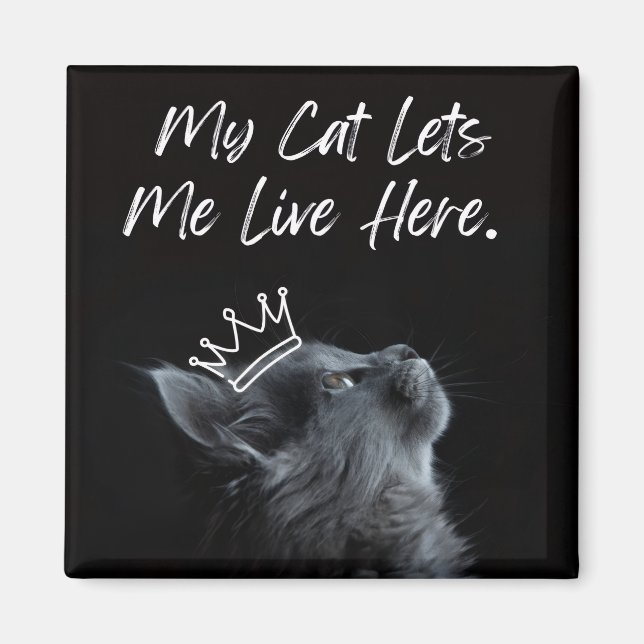 Min katt låter mig bo här magnet (Framsidan)