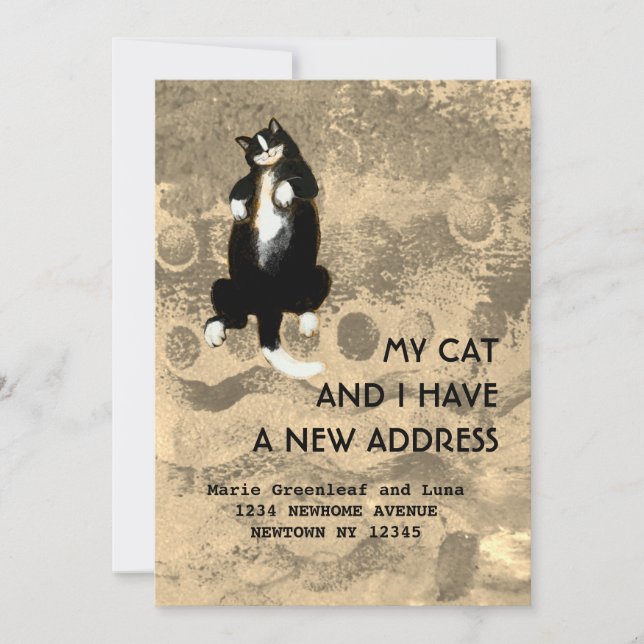 Min katt och jag har flyttat meddelande (Framsida)