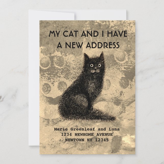 Min katt och jag har flyttat meddelanden (Framsida)