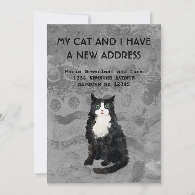 Min katt och jag har flyttat meddelanden (Framsida)