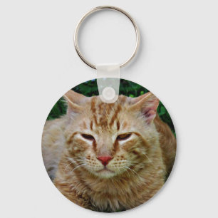 Min katt Rudy Nyckelring