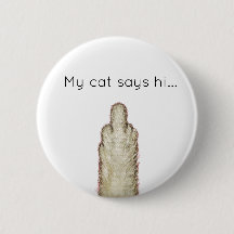 Min katt säger hej...