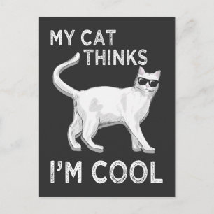 Min katts Tänka jag är Coola Kattdjur med solglass Vykort