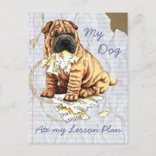 Min kinesiska Shar-Pei Ate Min Lesson-plan Vykort