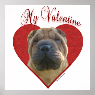 Min kinesiska shar-Pei Valentine Poster