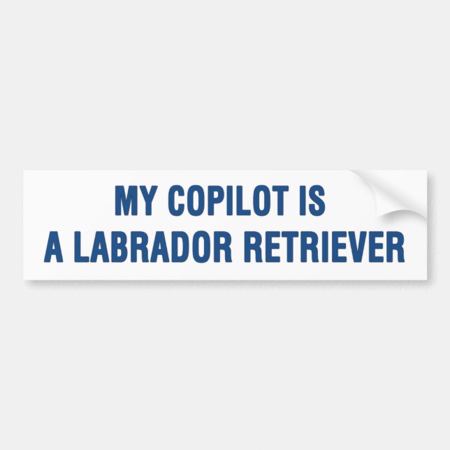 Min kompilot är en labradoerska bildekal (Framsidan)