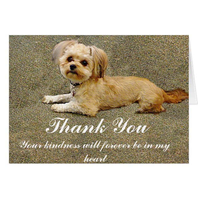 Min kompis_ OBS kort (Framsidan Horizontal)