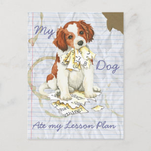 Min Kooiker Ate My Lesson Plan Vykort