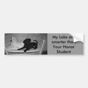 Min labb är mer smart bildekal