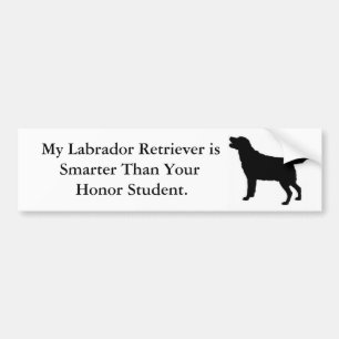 Min Labrador Retriever är mer smart Bildekal