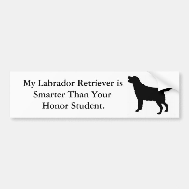 Min Labrador Retriever är mer smart Bildekal (Framsidan)