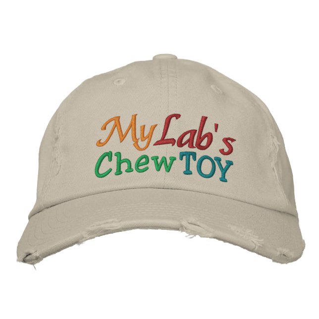 Min Labs Chew Leksak Cap av SRF Broderad Keps (Framsida)