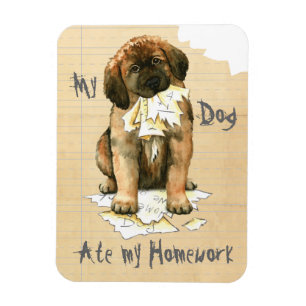 Min Leonberger Ate Min hemläxa Magnet