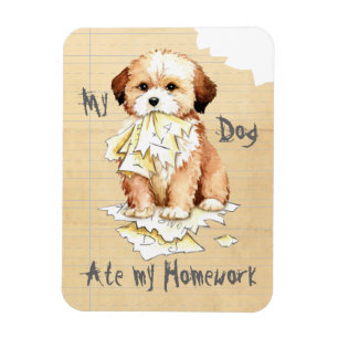 Min Lhasa Apso Ate My Homwork Magnet