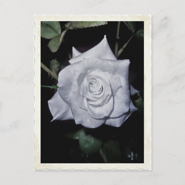 Min lilla Blue Princess Vykort (Framsida)