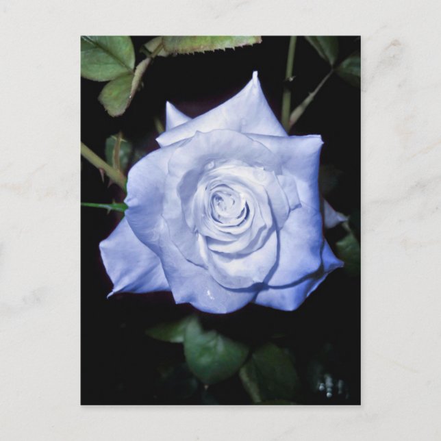 Min lilla prinsessa vykort (Framsida)