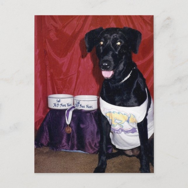 Min lilla Springer, Maggie Vykort (Framsida)