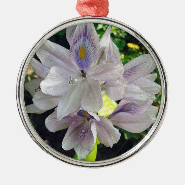 Min lilla trädgårdsväxt i vatten julgransprydnad metall (Framsidan)