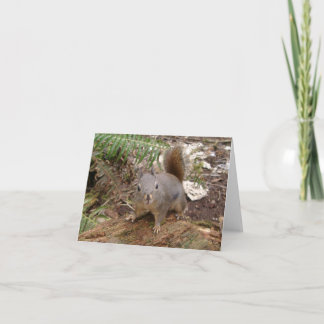 Min luddiga vän kort