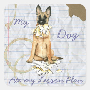Min Malinois Ate Min lärlingsplan Fyrkantigt Klistermärke