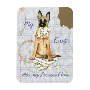 Min Malinois Ate Min lärlingsplan Magnet