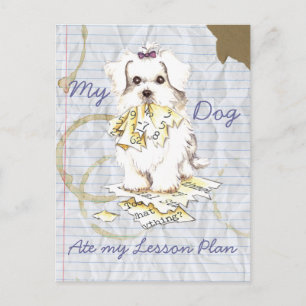 Min maltesiska Ate My Lesson Plan Vykort