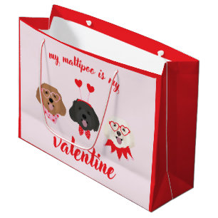 Min Maltipoo är min Valentine