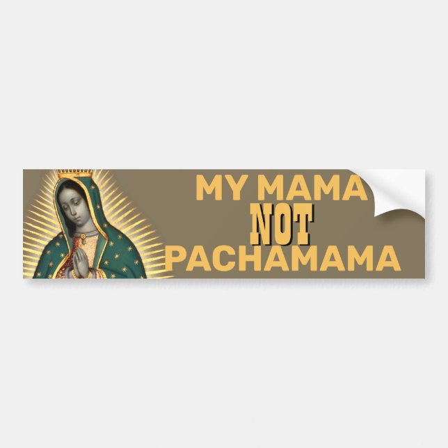 MIN MAMMA INTE PACHAMAMA GUADALUPE BILDEKAL (Framsidan)