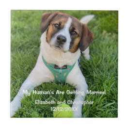 Min människa är Gifta sig Förlovning Photo Kakelplatta