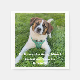 Min människa är Gifta sig Förlovning Photo Pappersservett