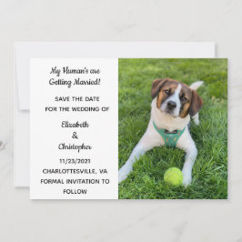 Min Människa Giftar Sig Hund Foto Spara Datum Datumet