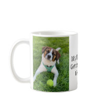 Min Människor Ska Gifta Sig Hund Foto