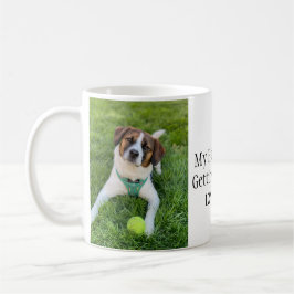 Min Människor Ska Gifta Sig Hund Foto Kaffemugg