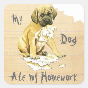 Min Mastiff Ate Min hemläxa Fyrkantigt Klistermärke