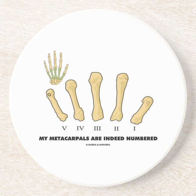 Min Metacarpals numreras sannerligen (anatomi) Underlägg (Framsidan)