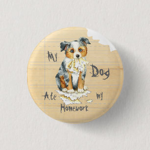 Min Mini American Shepherd Ate min hemläxa Knapp