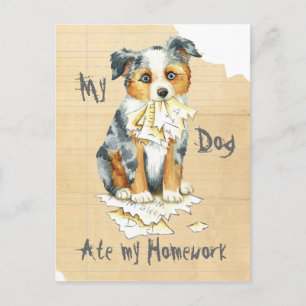 Min Mini American Shepherd Ate Min hemläxa Vykort