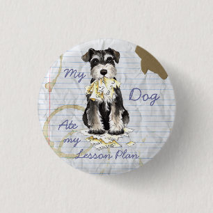 Min miniatyrSchnauzeråt som min kurs planerar Knapp