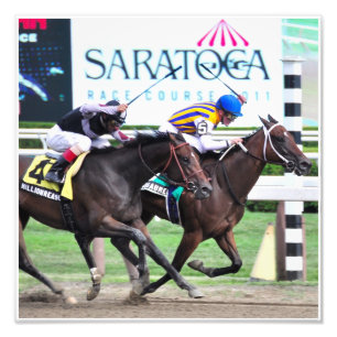 Min miss Aurelia - Adirondack Fototryck