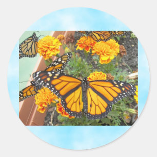 Min monarch Butterflies-dekal Runt Klistermärke
