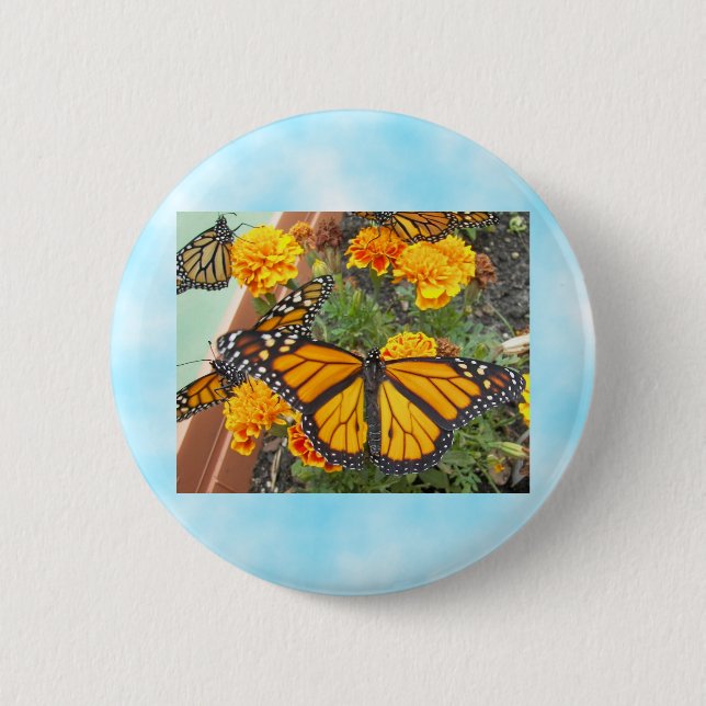 Min Monarch Butterflies-knapp Knapp (Framsida)