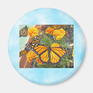 Min Monarch Butterflies-magnet Magnet
