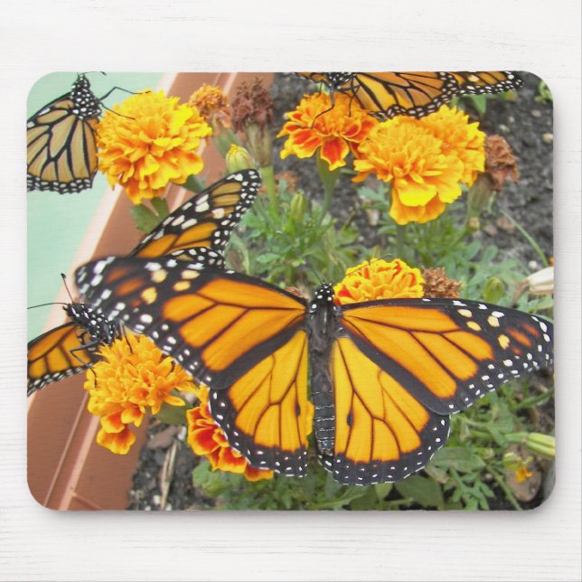 Min monarch Butterflies-moussepad Musmatta (Framsidan)