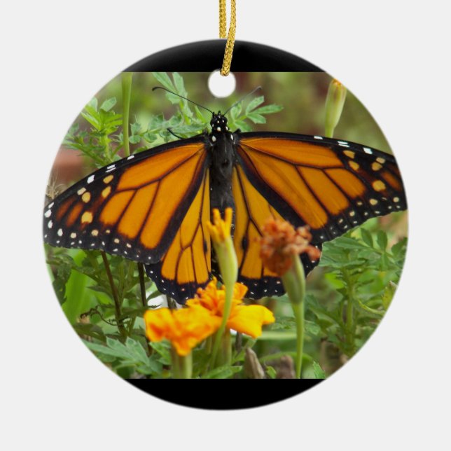 Min Monarch Butterfly-Cirkulär ornament (Framsidan)