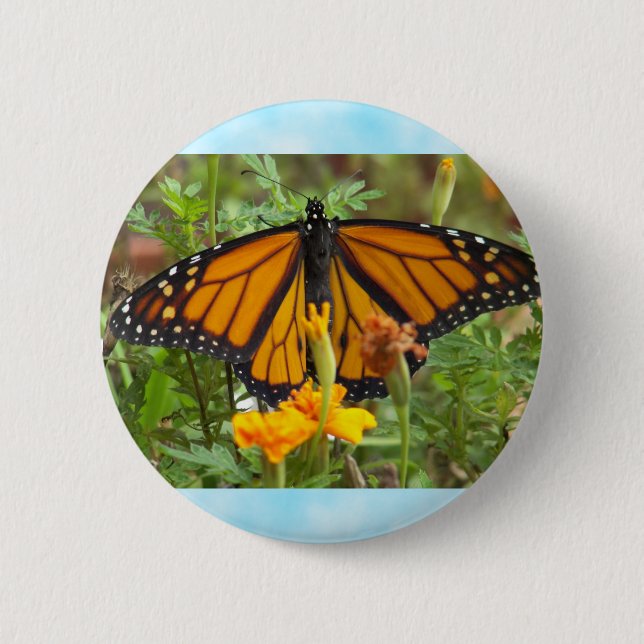 Min Monarch Butterfly-knapp Knapp (Framsida)