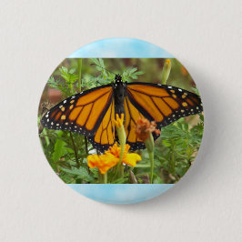 Min Monarch Butterfly-knapp Knapp